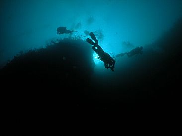  - Silhouettes of divers as they begin their descent. by Karen Fischbein